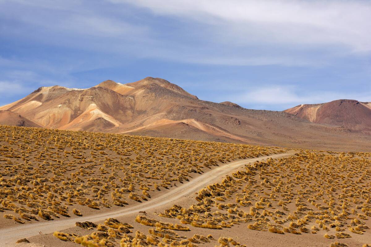 Atacama Desert Road