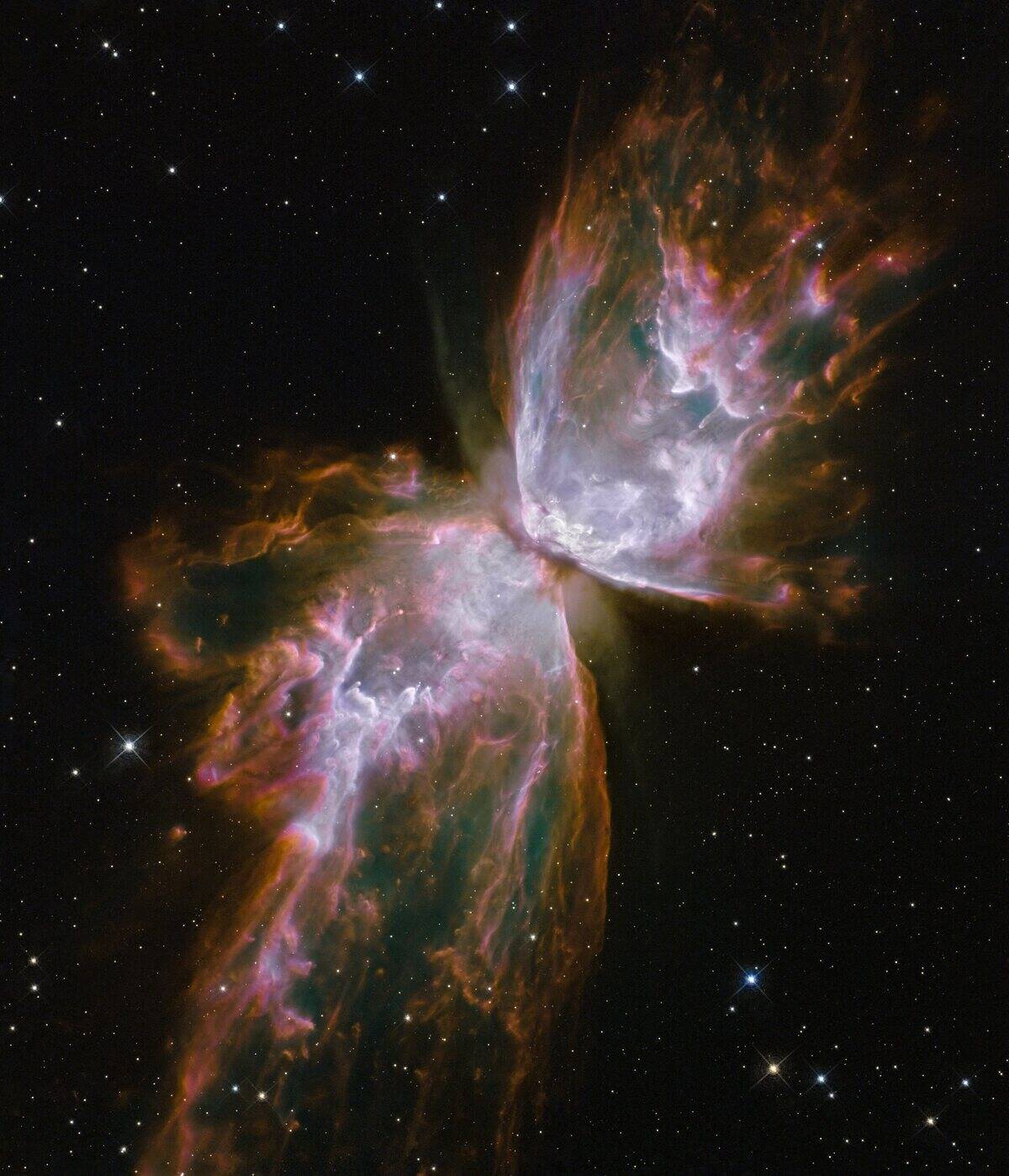 Butterfly shape emerges from Stellar Demise in Planetary Nebula NGC 6302.