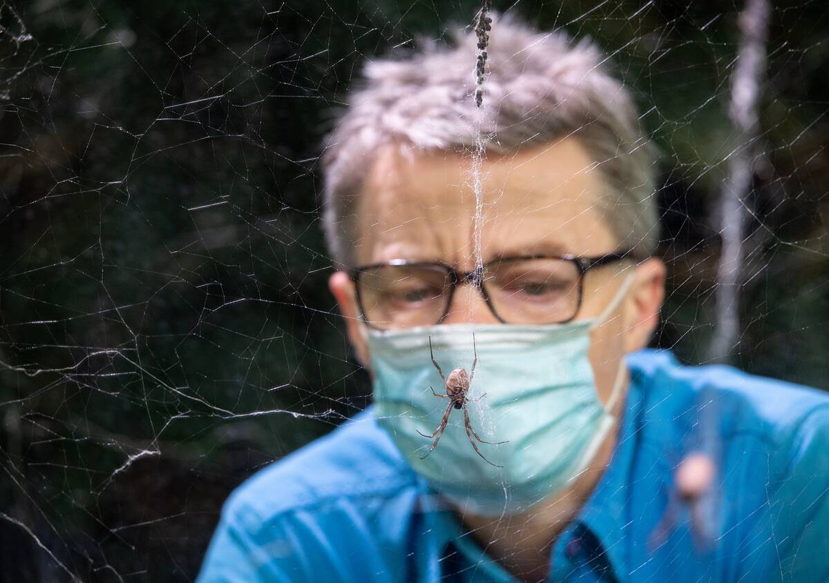 Coronavirus - Sunday May 16, 2021