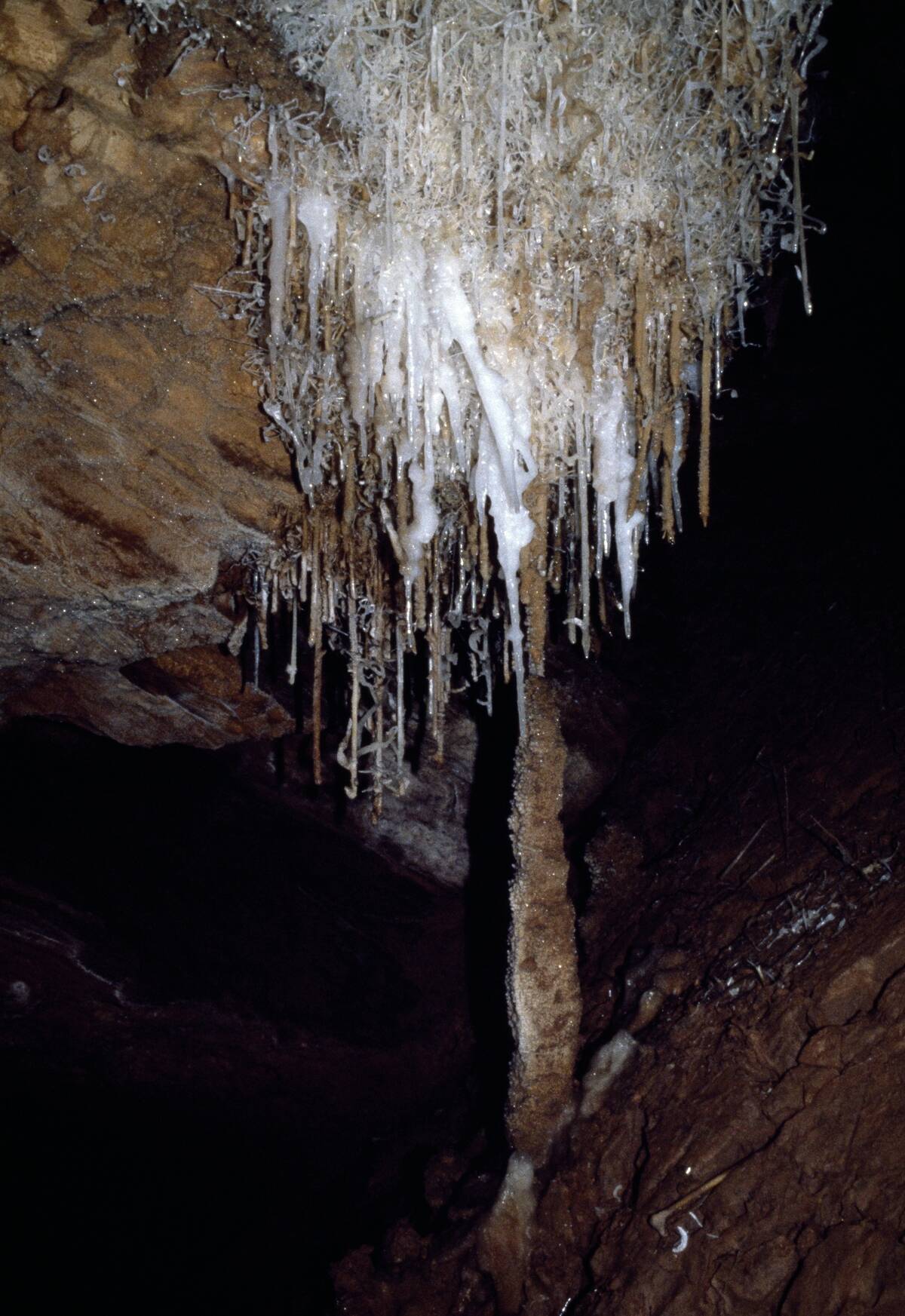 Crystallized formations