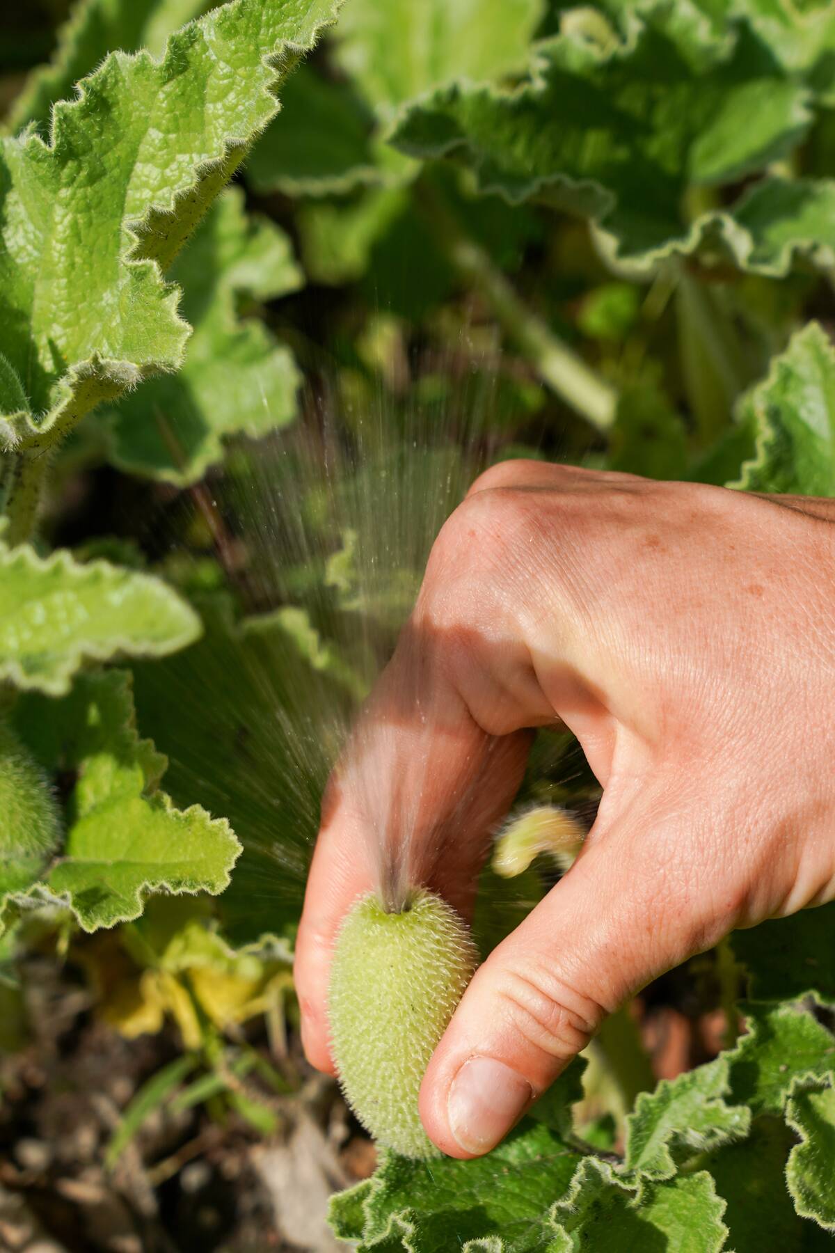 Curiosity trail in Leipzig