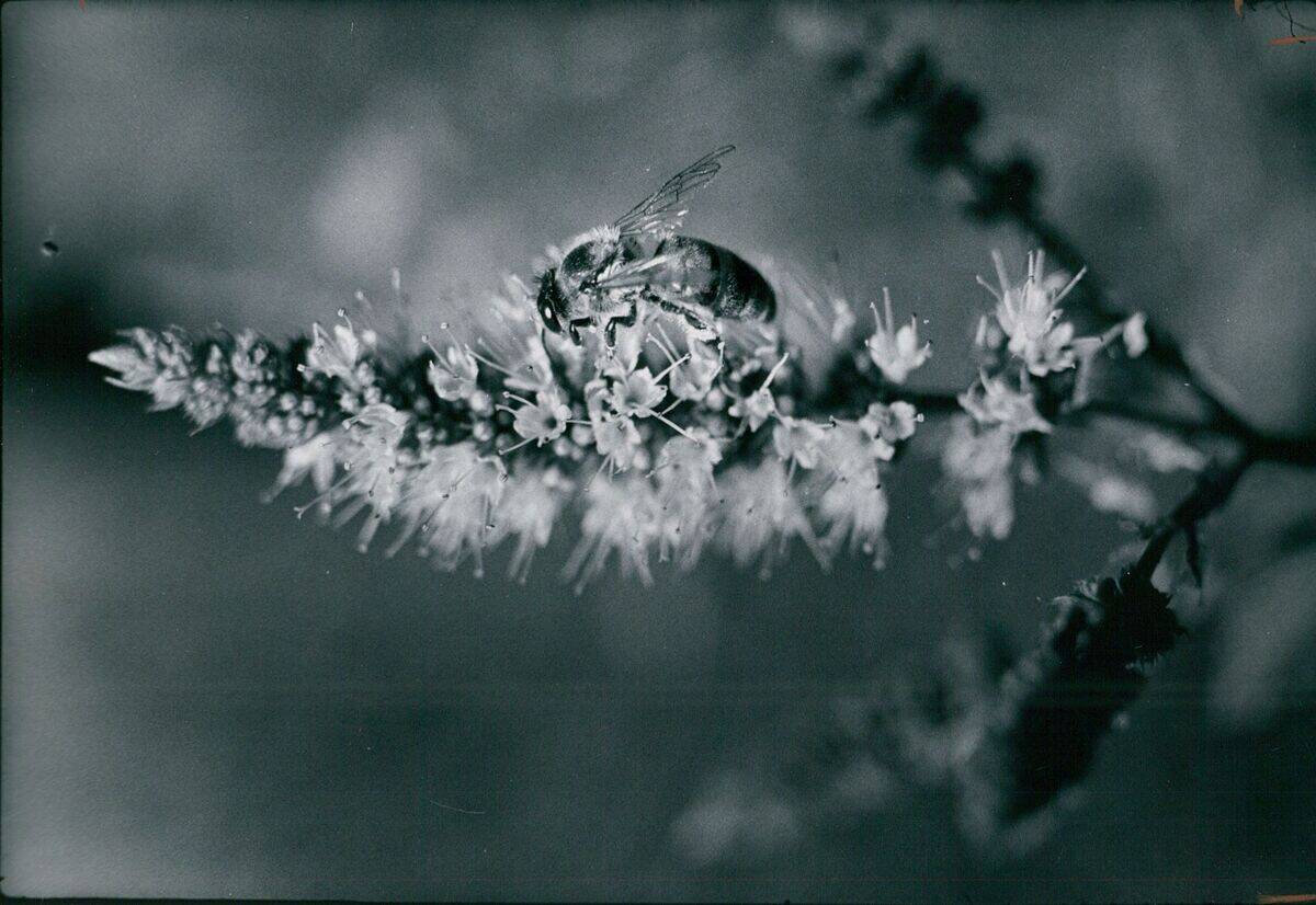 Denver Post Archives