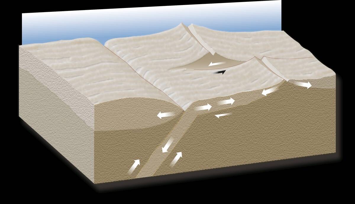 Diagram of forces acting on tectonic plate motion
