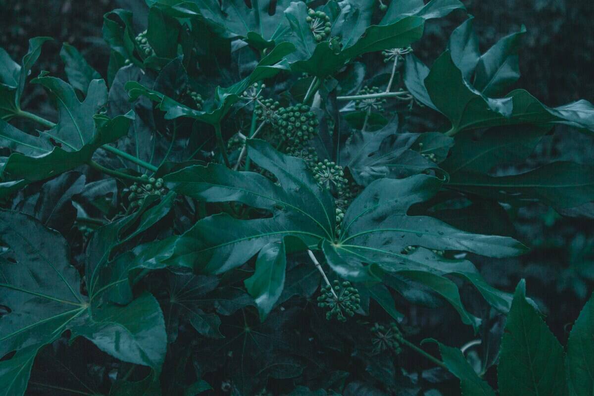 diane-picchiottino-HBYrQre14Io-unsplash