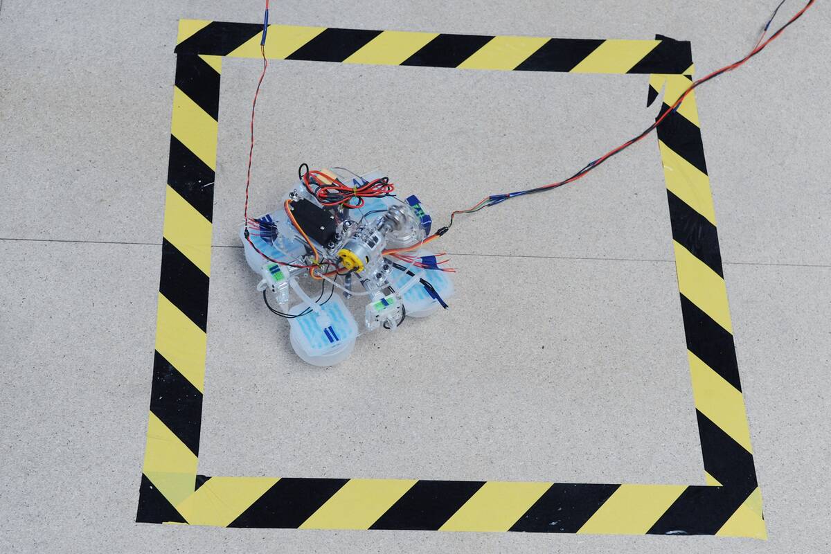 First International Conference on Soft Robotics