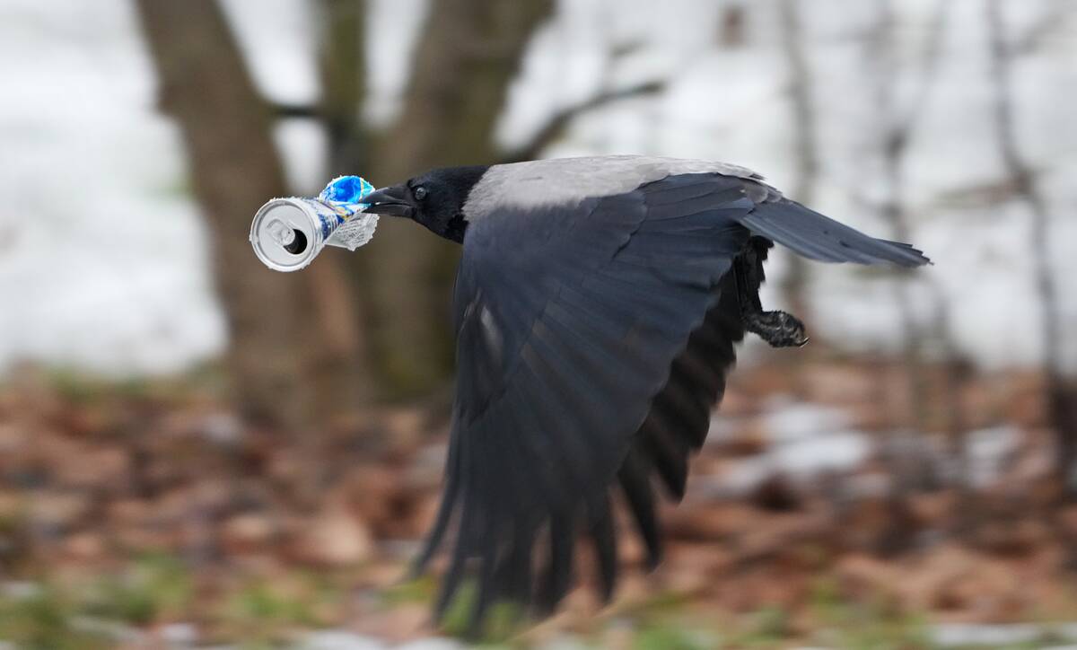 Fog crane with tin can