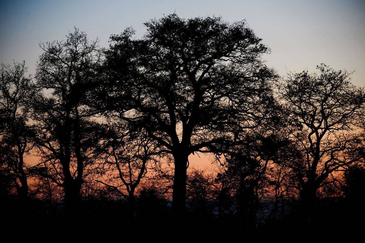 FRANCE-ENVIRONMENT-ECONOMY-AGRICULTURE-CLIMATE