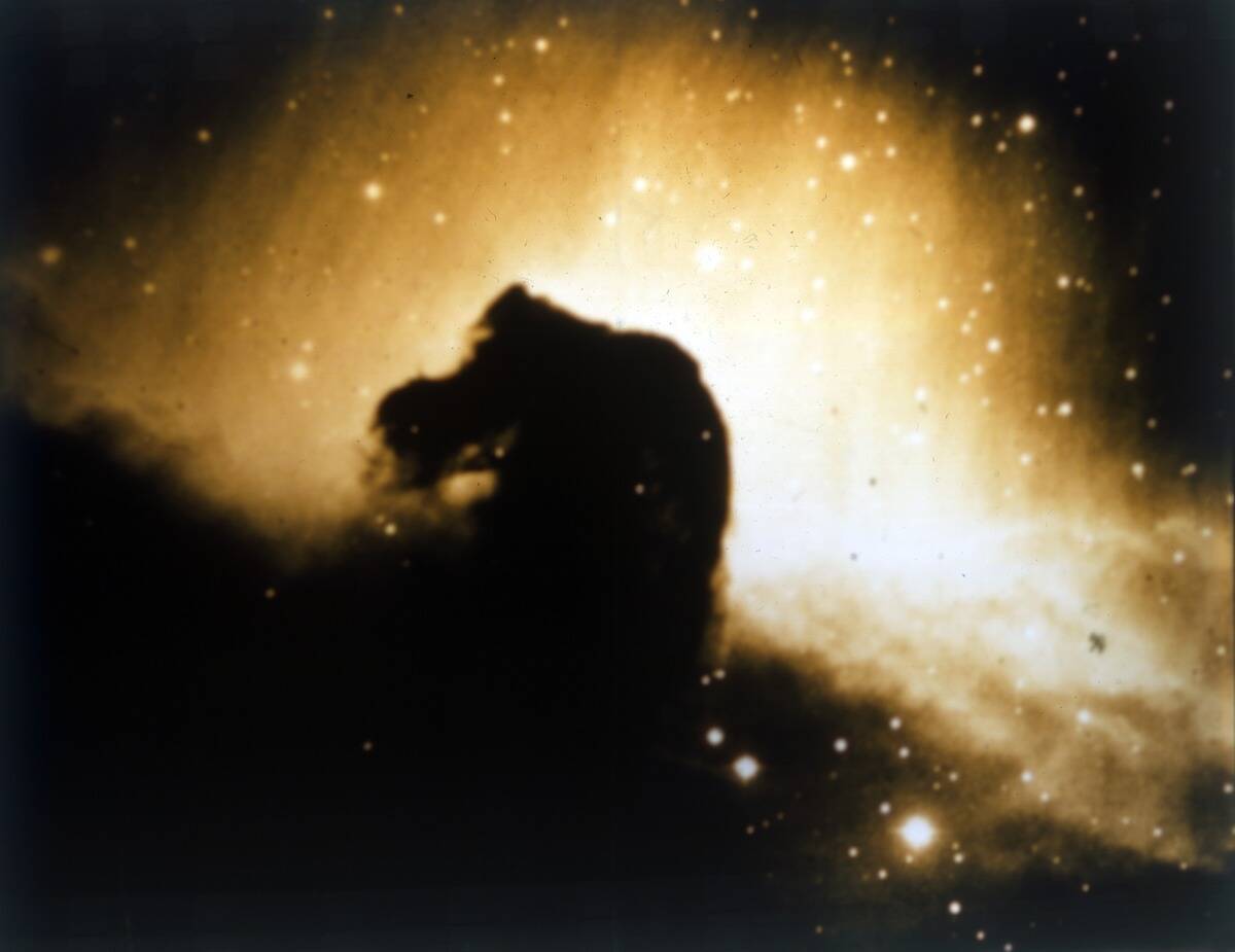 Horsehead Nebula In Orion. Creator: Nasa.