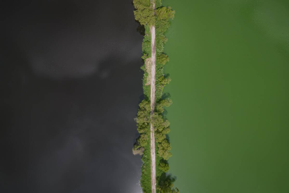 Lake Amatitlan Faces A Heavy Crisis Due To Garbage Pollution