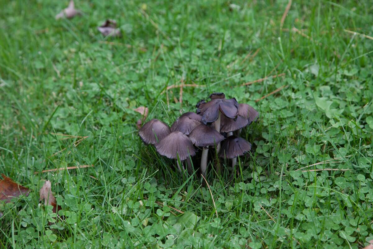 linda-pomerantz-zhang-pFhYOCHImjE-unsplash