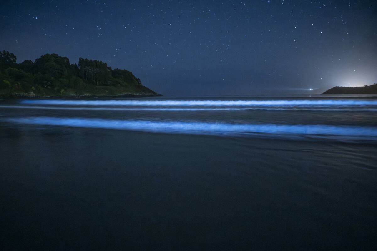 'Milky sea' on the Estorde beach in Spain
