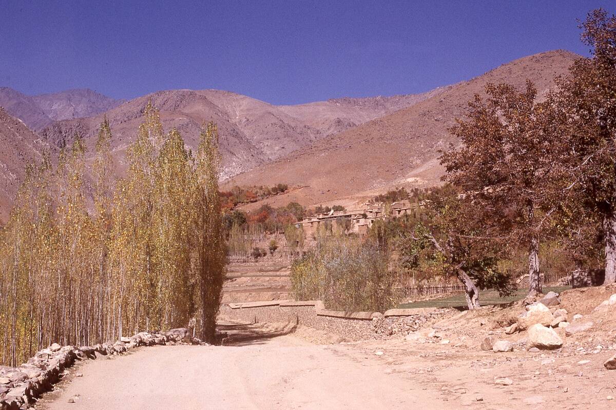 Mountain Country Scene