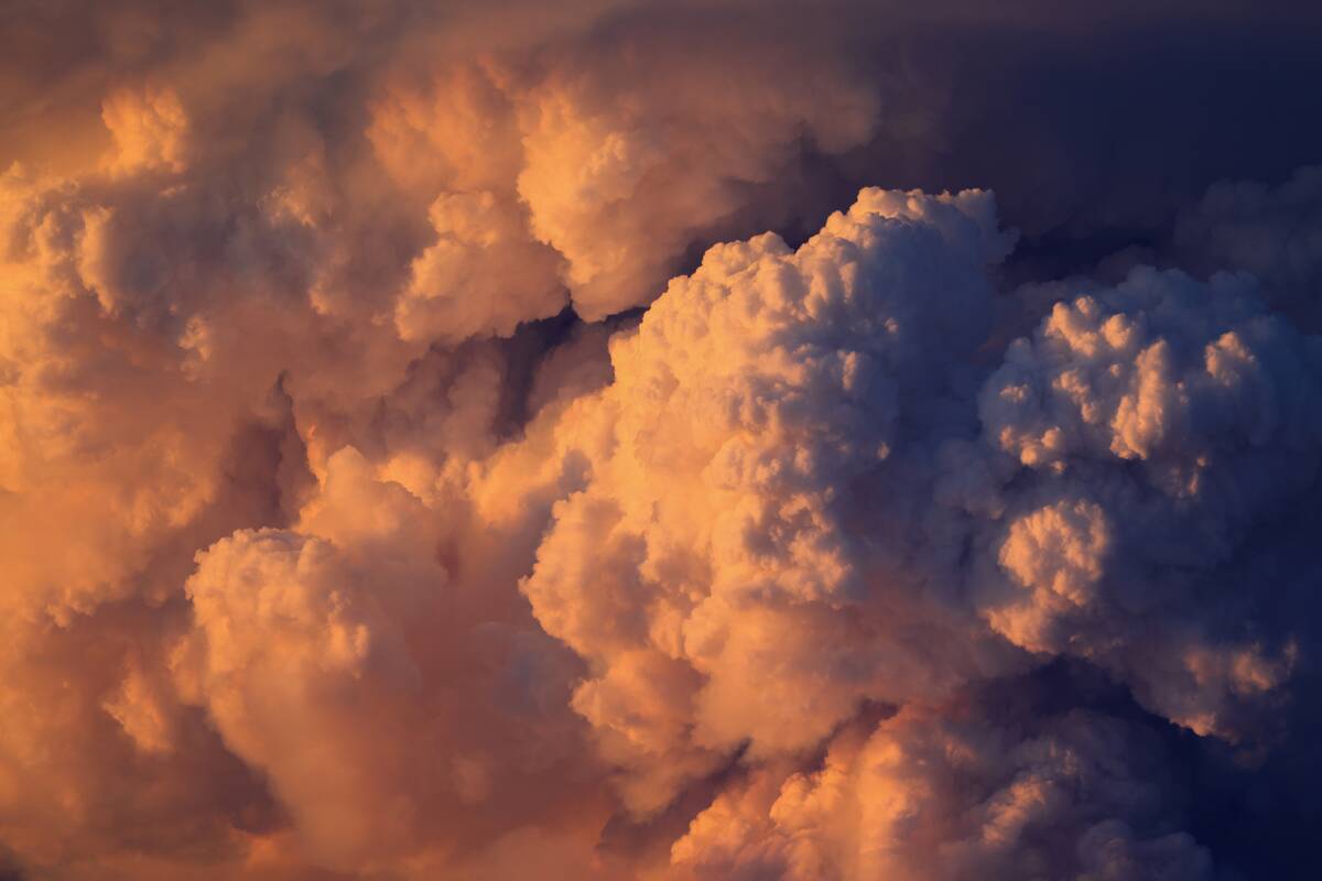 Park Fire Burns Thousands Of Acres In Northern California After Man Charged With Arson