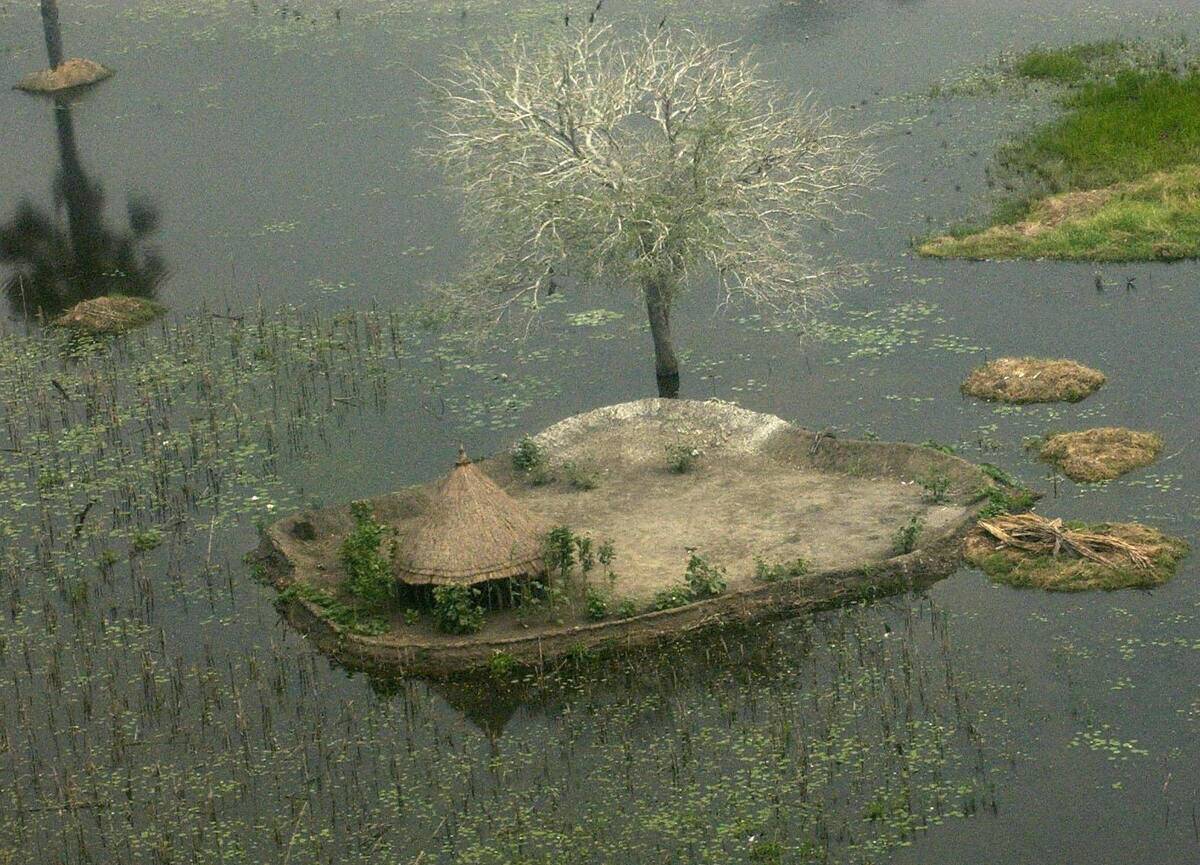 Picture taken, 23 January 2004 of recent