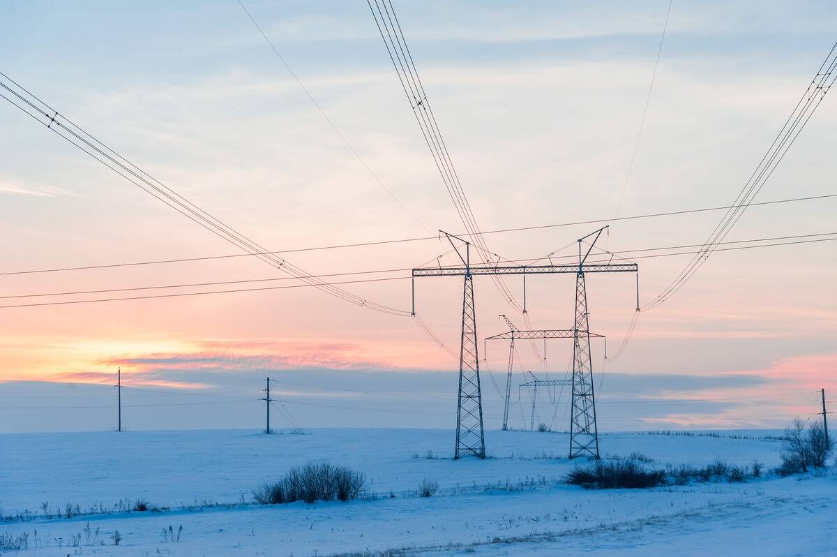 Power lines in a field near Ivano-Frankivsk region, western...