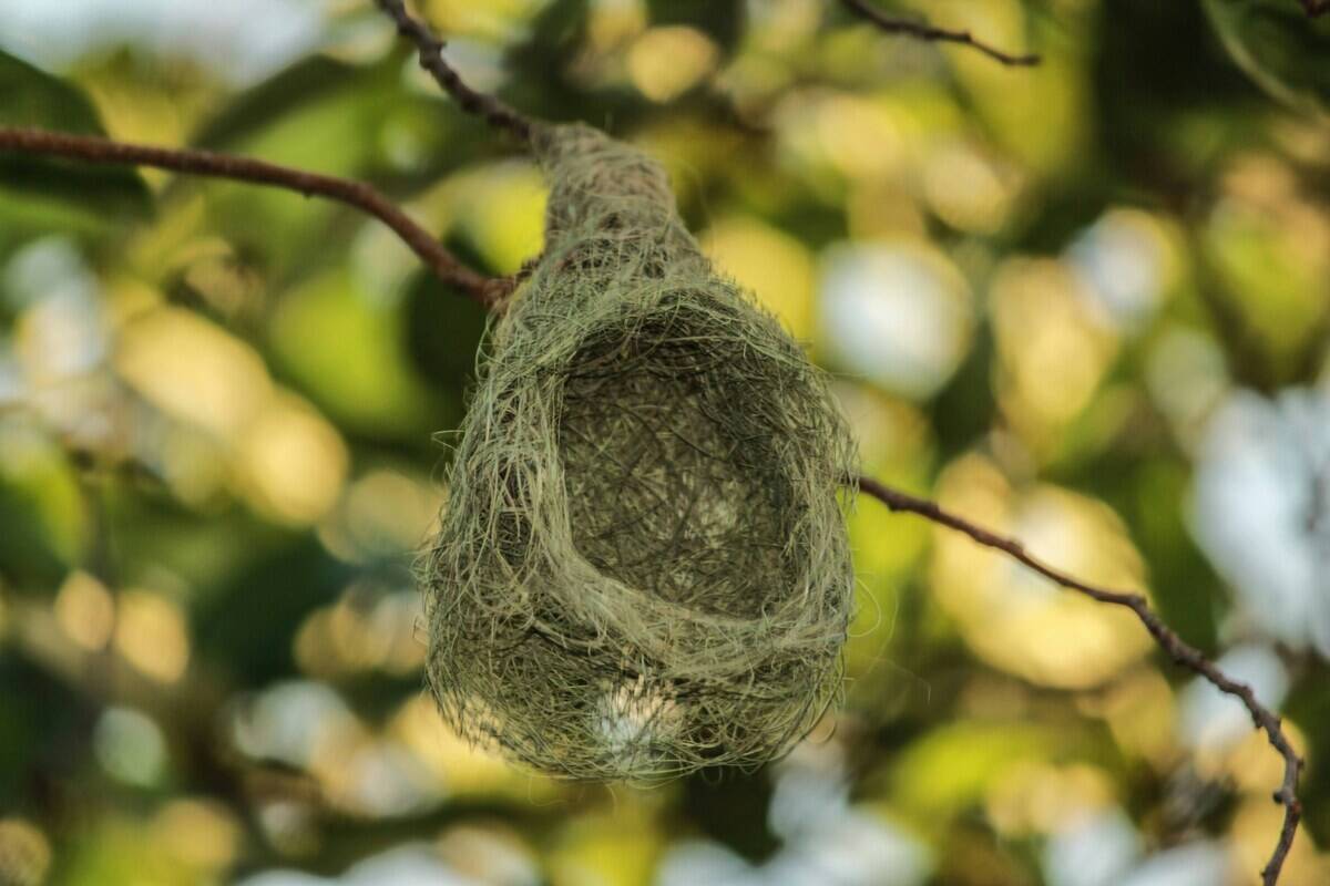 priyansh-patidar-QBfXC4P7Nmg-unsplash