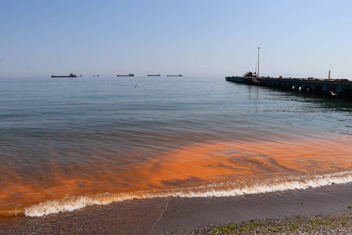 Red tide at Marmara Sea