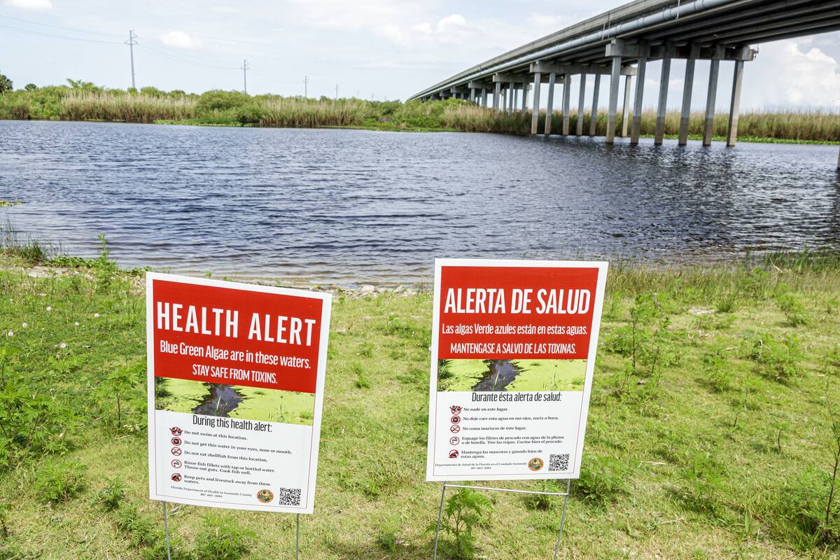 Sanford, Florida, Cameron Wight Park, Lake Jesup George C. Means Memorial Bridge, with bilingual health alert signs, blue green algae toxin