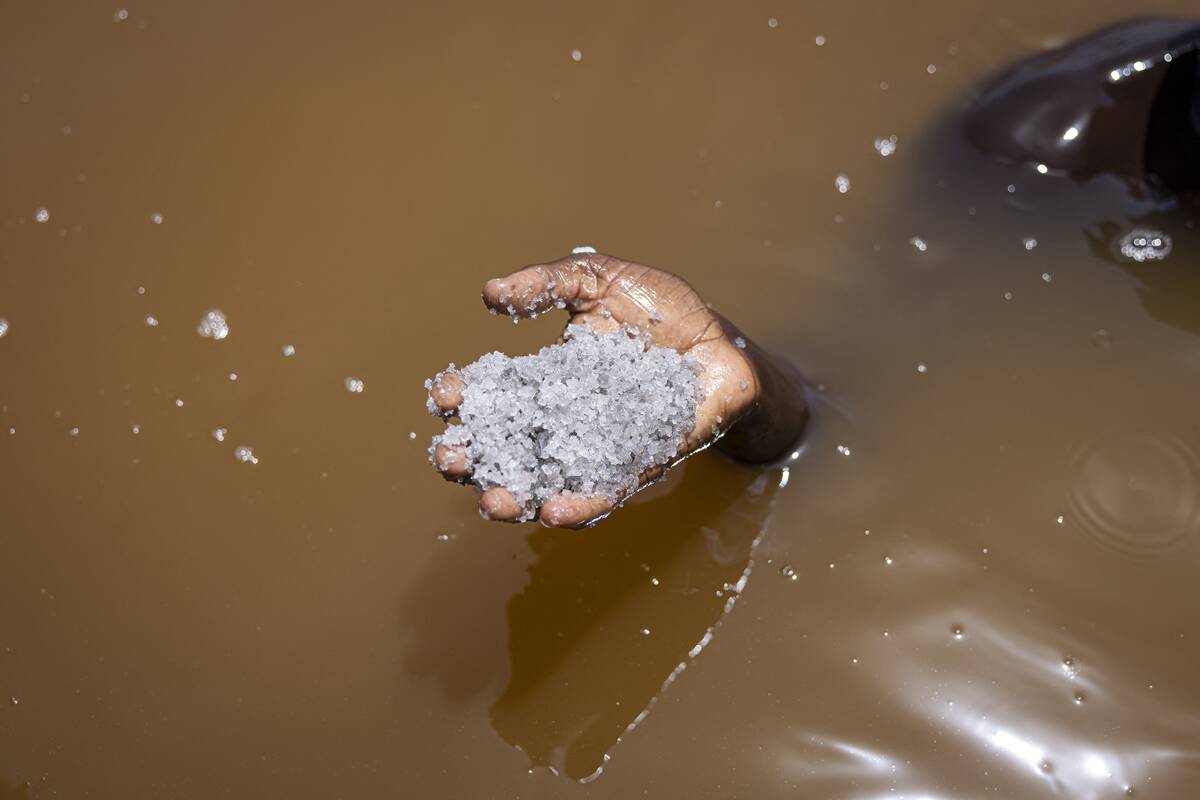 SENEGAL-ENVIRONMENT-ECONOMY-TOURISM