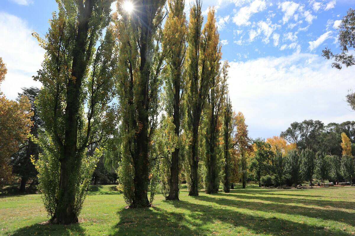 serina-bird-qMGB8xww_jM-unsplash