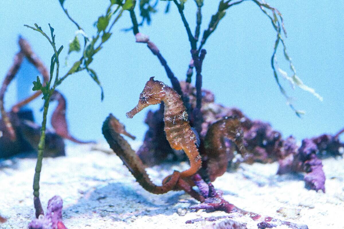 slnc-ZDa-b5jVVrU-unsplash