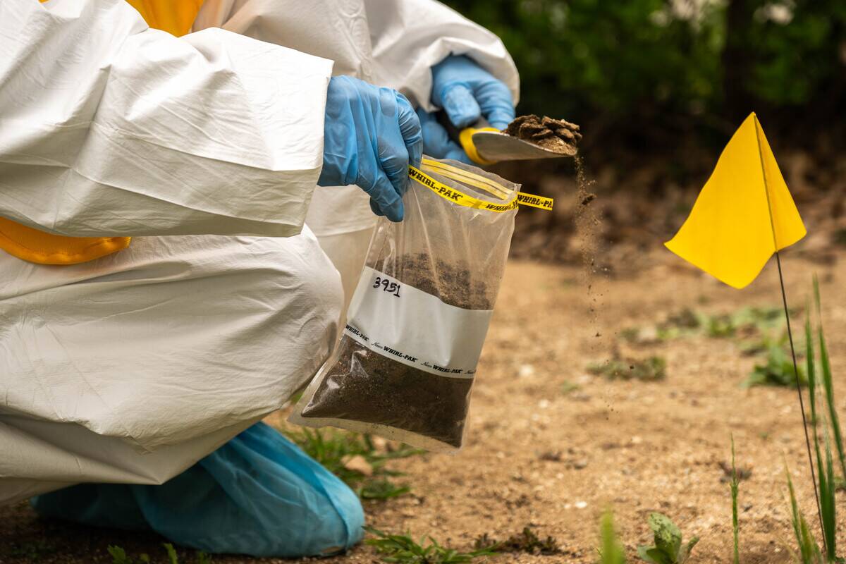 Soil Testing For Toxins In Eaton Fire Burn In Altadena