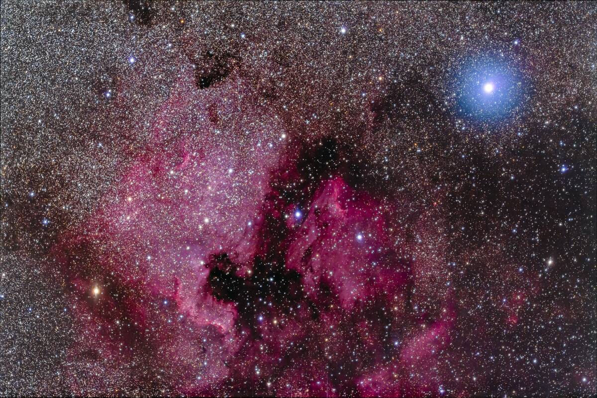 The North America Nebula NGC 7000 and associated nebulosity and star clusters