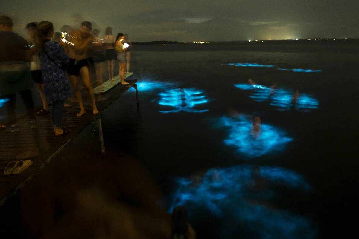 TOPSHOT-DENMARK-WEATHER-BIOLUMINESCENCE-ALGAE