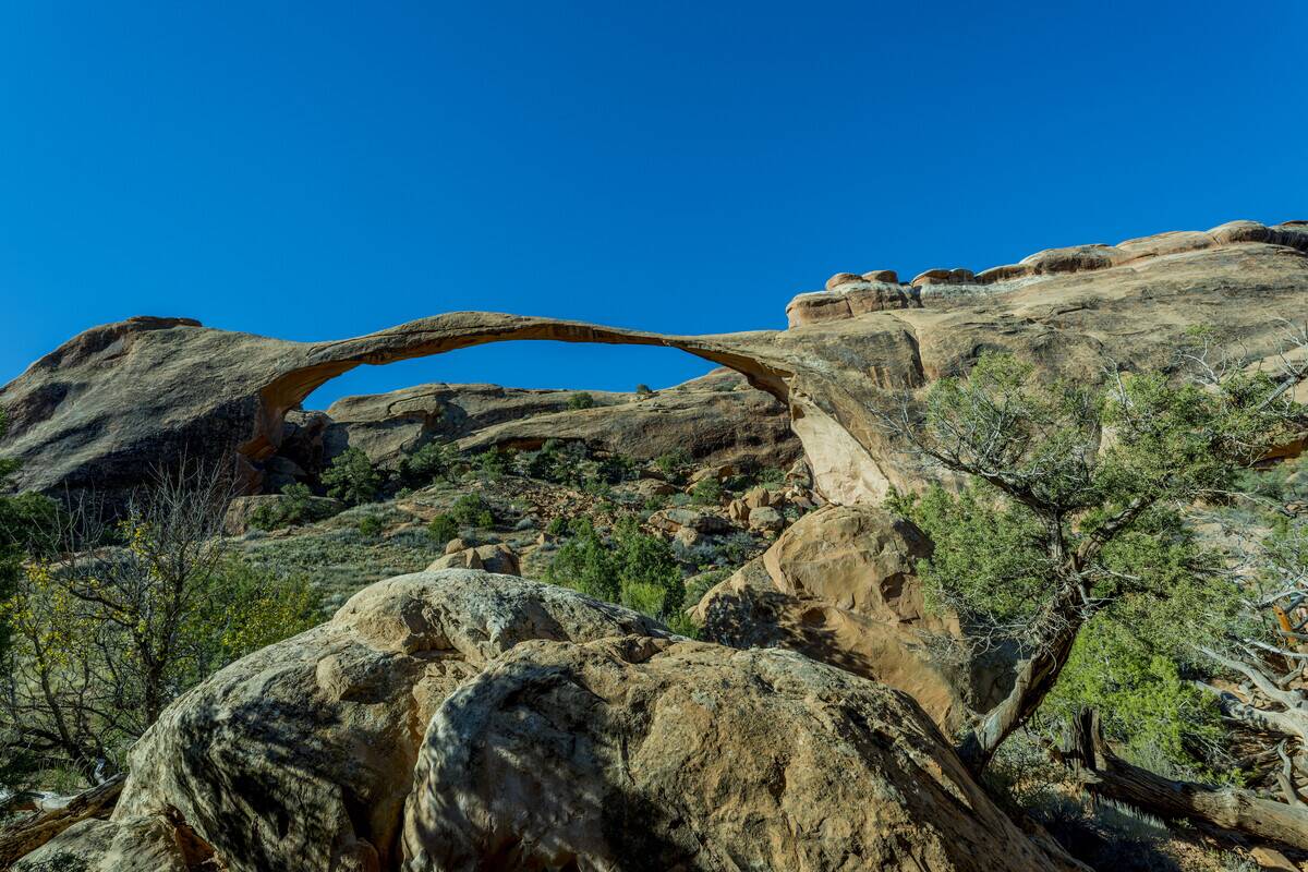 View of Landscape Arch, which is the longest arch in North...