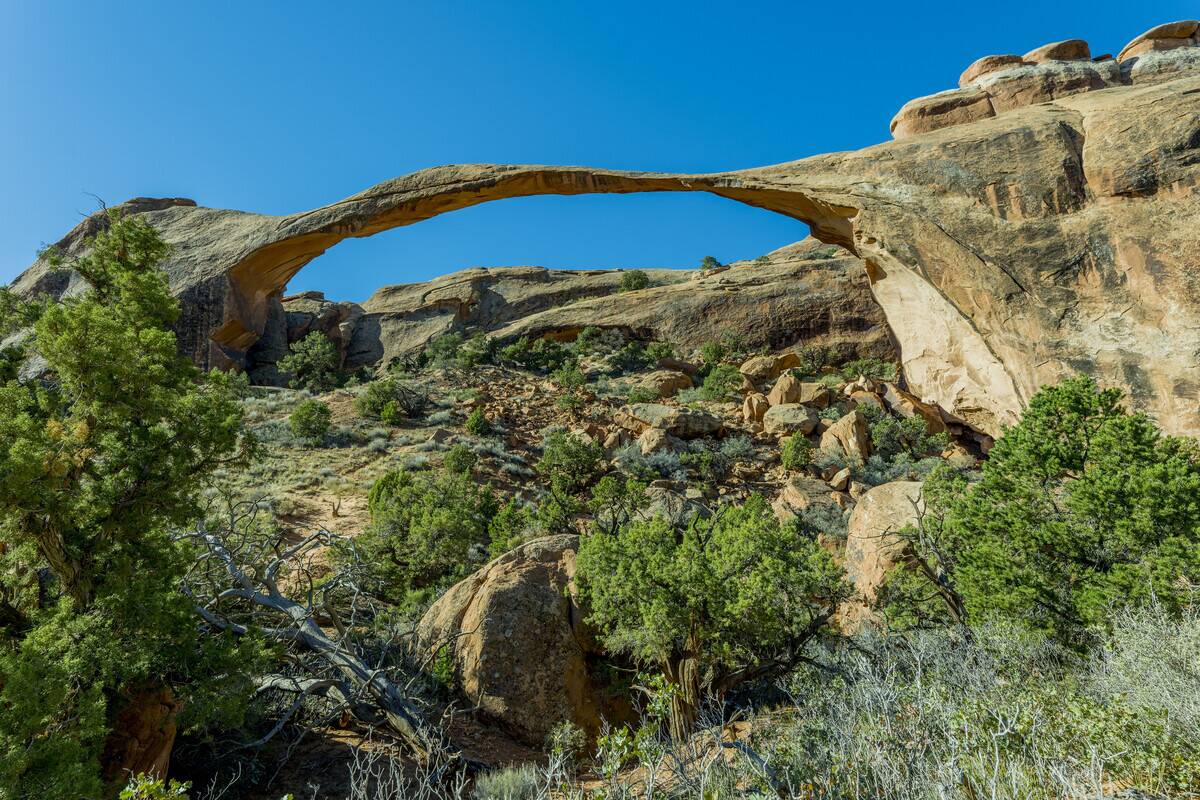 View of Landscape Arch, which is the longest arch in North...