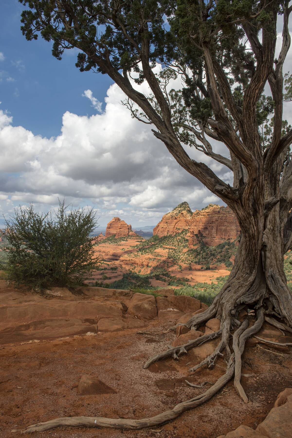 View of the red rock formations from Schnebly Hill Vista on...