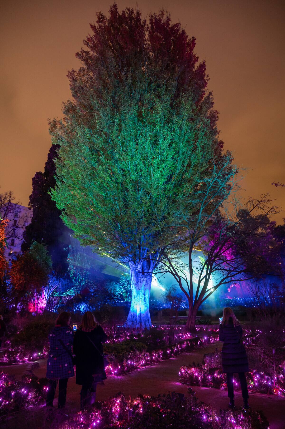 Visitors taking pictures in the light installation '...