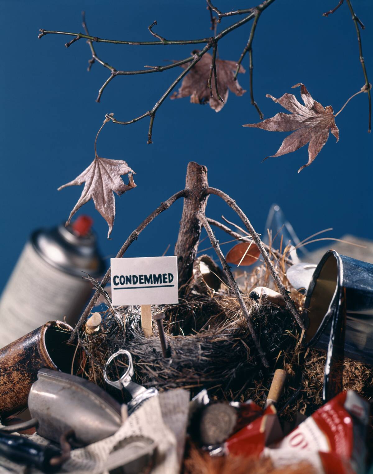 1970s BIRD NEST WITH...