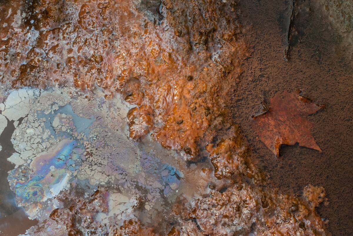 Leptothrix_discophora_Film_and_Iron_Oxide_Floc_along_the_Vermilion_River