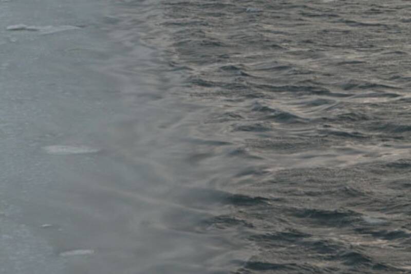 Untitled design (15)