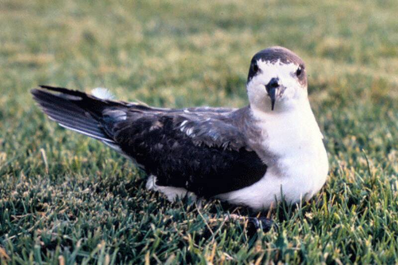 Untitled design (18)