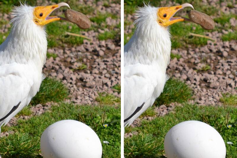 Untitled design (20)