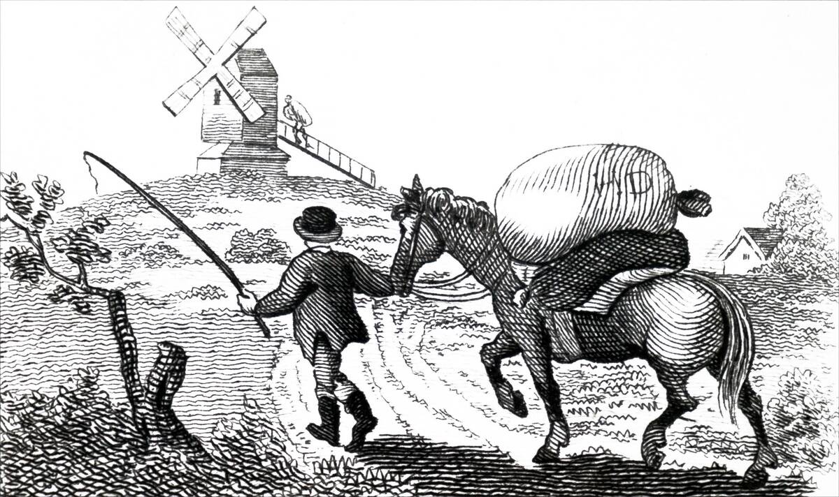 A mule carrying sacks of grain.