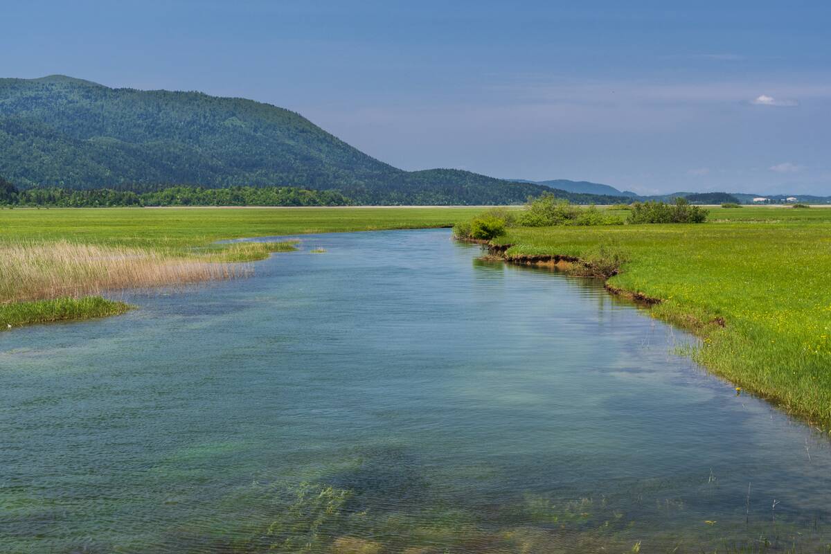 A view of the Lake Cerknica