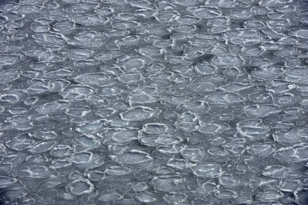 Antarctica, Weddell Sea, Pancake Ice...