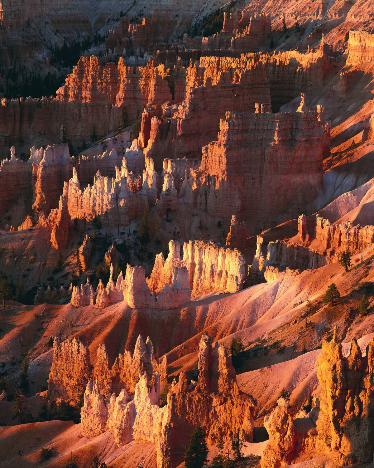 Bryce Canyon, Utah