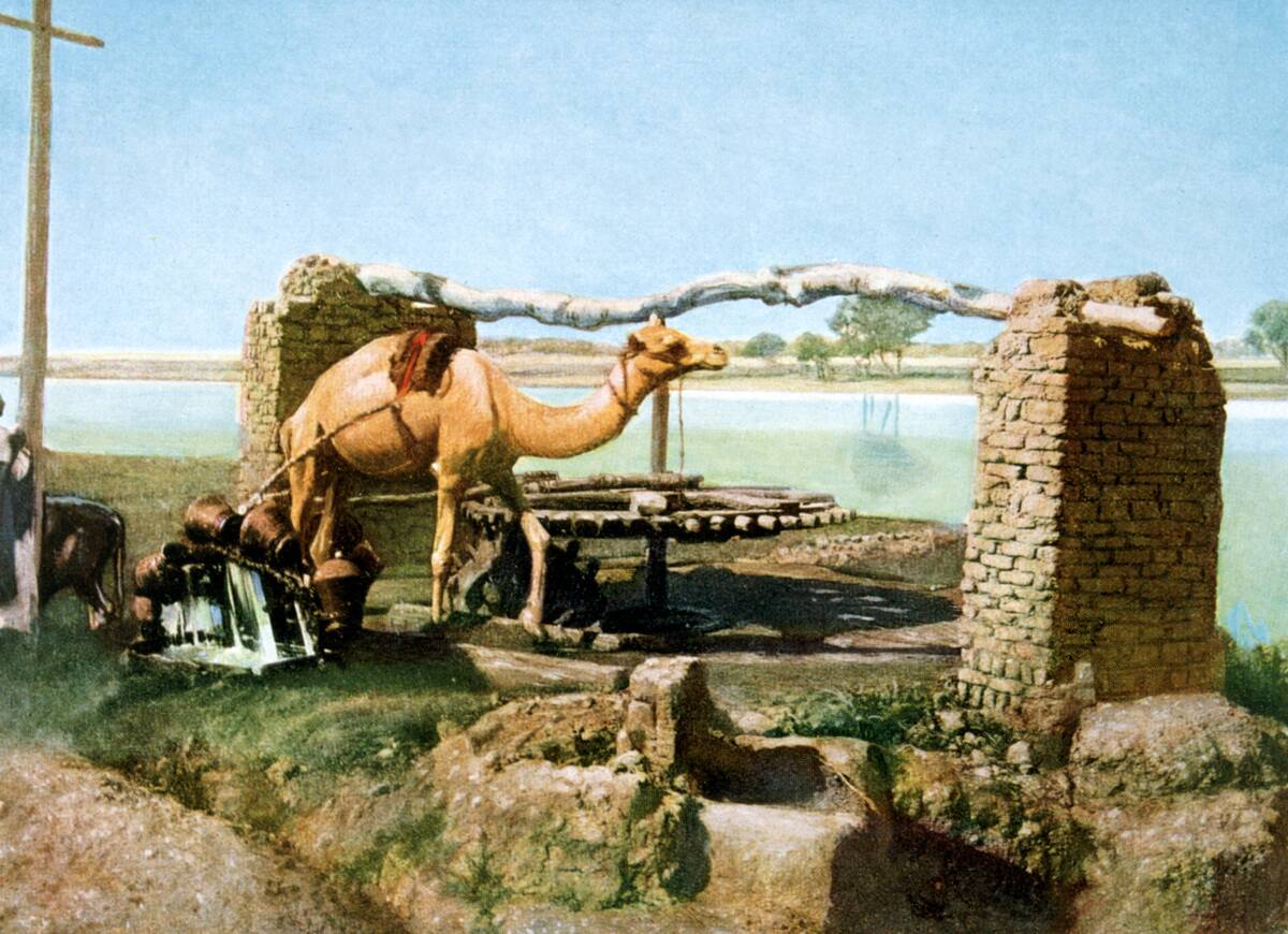 Camel and shaduf, Luxor, Egypt, 20th Century.