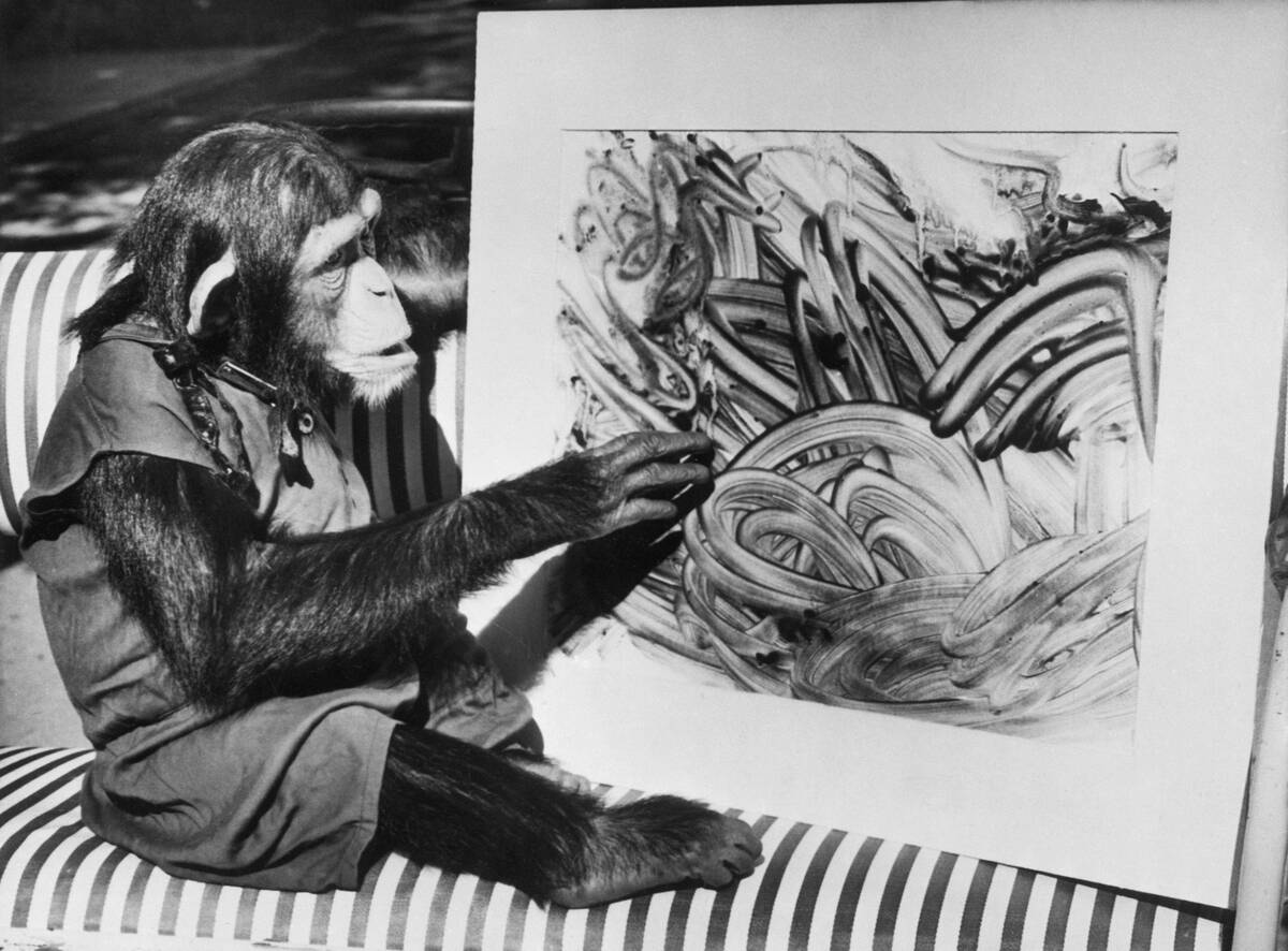 Chimp Named Mandy Looking at a Finger Painting By Another Chimp Named Betsy