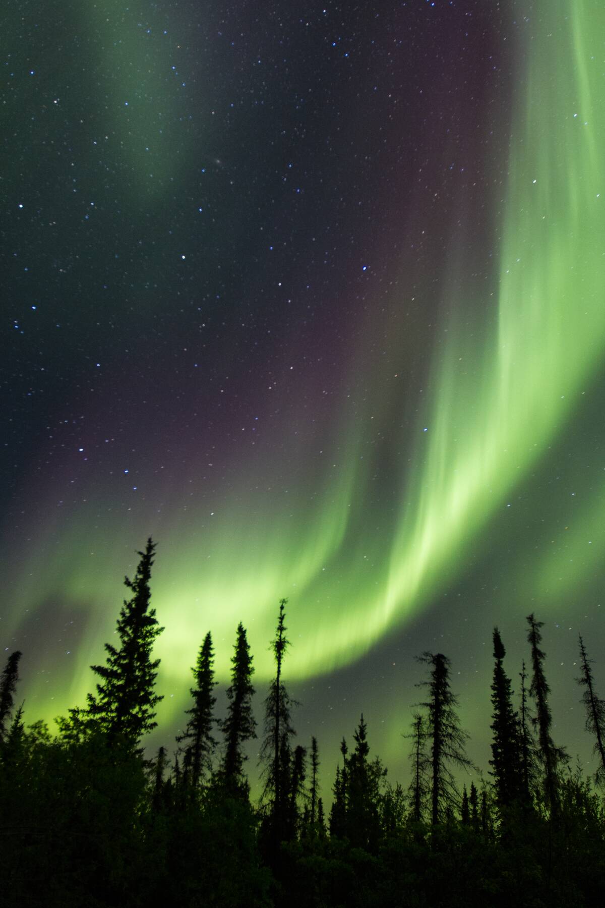 Diamonds In The Sky (2012)