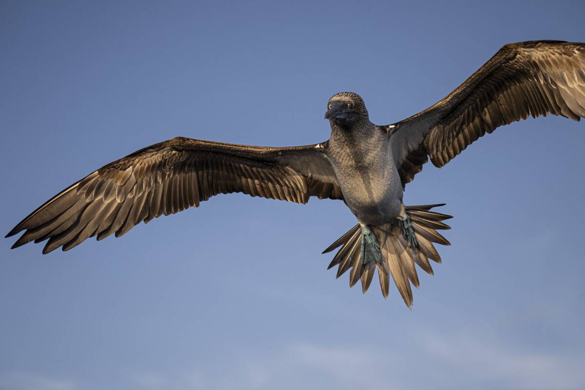 ECUADOR-ENVIRONMENT-GALAPAGOS-FISHING-OCEANS