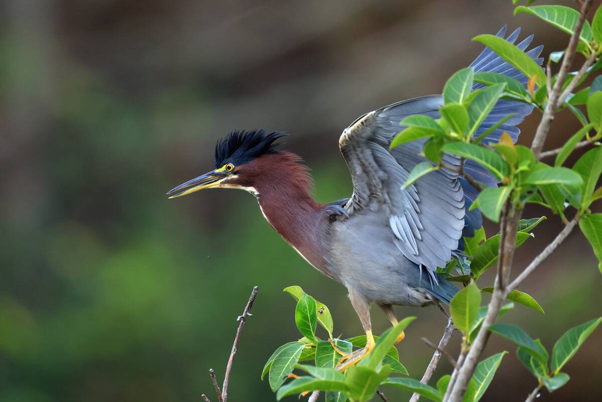 General Views in Florida