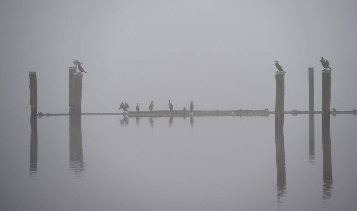 GERMANY-WEATHER-FEATURE