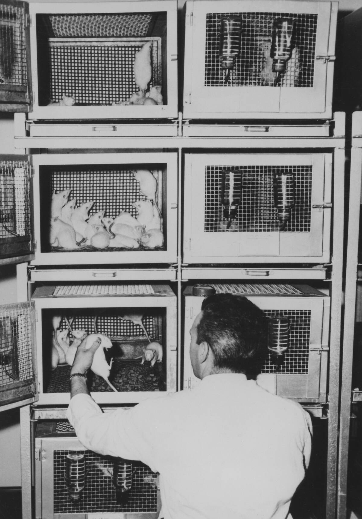 Hanford Atomic Plant