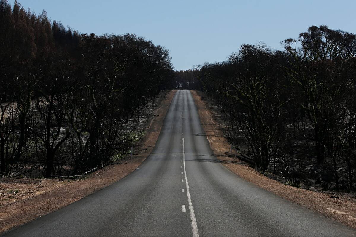 Kangaroo Island Begins Recovery Process Following Devastating Bushfire Season