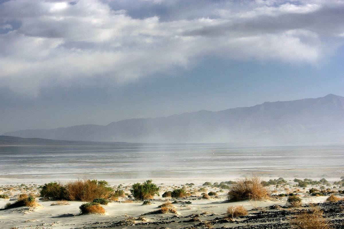 Los Angeles Tries To Reverse Desertification Of Owens Lake